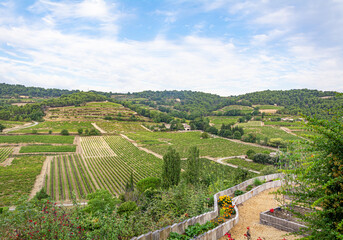 Fototapeta na wymiar Vines and farming in the Rhone Valley, France