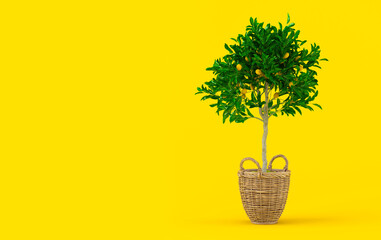 Creative layout with lemon. Lemon tree with fruits in wicker pot on yellow background. Citrus tree, vitamin C, healthy fruit. 3d illustration. Homemade lemon tree