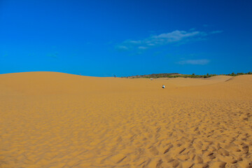 sand in the desert in the morning has beautiful sky background