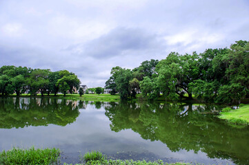 Fototapeta premium The beautiful central state park,Tallahassee Florida