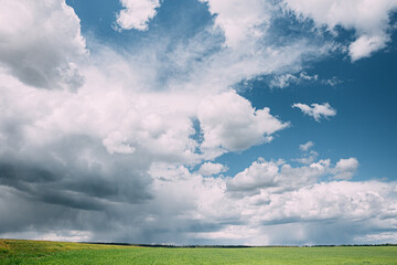 Fototapeta na wymiar Countryside Rural Wheat Field Meadow Landscape In Summer Rainy Day. Scenic Sky With Rain Clouds On Horizon.