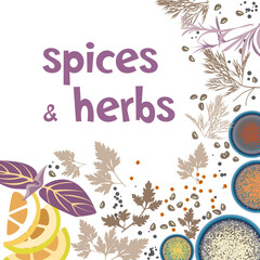 Spices and kitchen herbs, vector label template design.