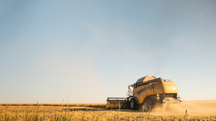 Harvester machine working in the field of ripe rye. Cereal harvesting season, agricultural business...