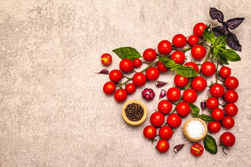 Ripe cherry tomatoes, garlic, basil, salt and black peppercorns on a stone culinary background