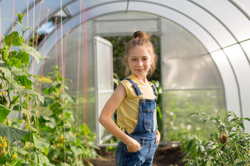 beautiful teenage girl on the background of a vegetable garden in a greenhouse