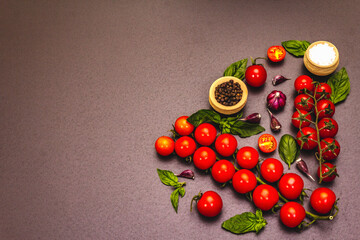 Ripe cherry tomatoes, garlic, basil, salt and black peppercorns on a black stone culinary background
