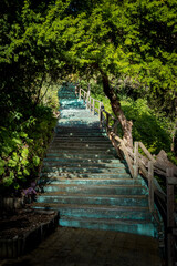 Turquoise blue stairs with wooden railings in the field
