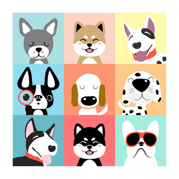 Dogs collection. Vector illustration of funny cartoon different breeds dogs in trendy flat style. 