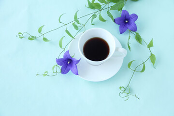 コーヒーとキキョウの花と利休草