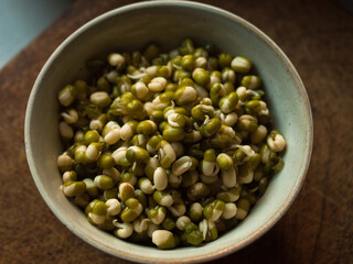 Sprouted mung bean in cermamic bowl