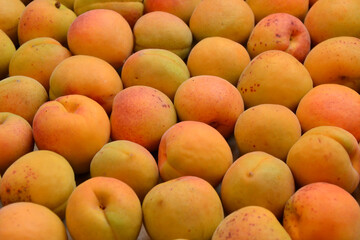 Apricots background. Fresh organic apricot fruits. Countryside garden harvest. Fruit salad, smoothie, pie and jam ingredient.