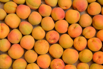 Apricots background. Fresh organic apricot fruits. Countryside garden harvest. Fruit salad, smoothie, pie and jam ingredient.