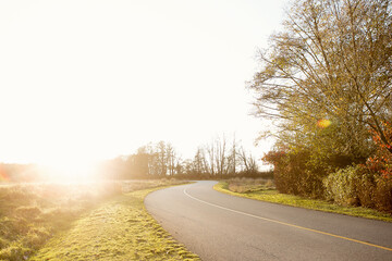 Fototapeta premium road in autumn forest