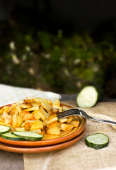 Fried potatoes with fresh cucumber. Homemade vegetable dish. Fast food. Homemade delicious food