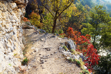 Nera Gorges Natural Park, Romania, Europe