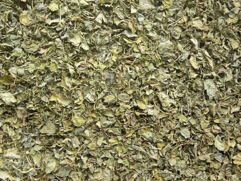 Greenish yellow color dry Fenugreek leaves