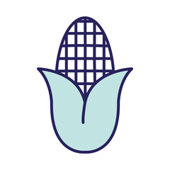 Corn line and fill style icon design, Food vegetable agriculture green plant maize cob and organic theme Vector illustration