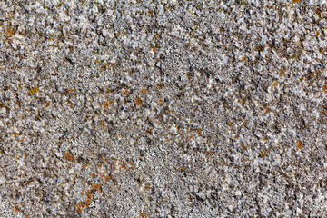 Gray granite with lichen