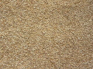 Brown and white color dry Sesame seeds