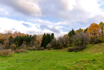 autumn landscape with trees and clouds