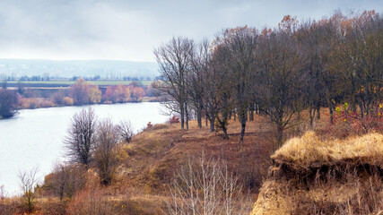 Autumn forest on the shore river in cloudy weather