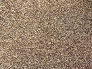 Brown color raw Ajwain Carom seeds