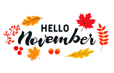 Hand drawn typography lettering phrase Hello November with autumn leaves.  Month November for calendar. Vector illustration as poster, postcard, greeting card, invitation template. 