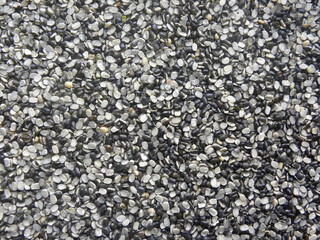 Black and white color split raw Urad dal lentils