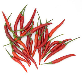 red hot chilli pepper
