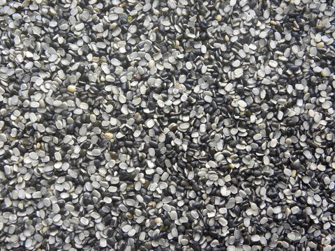 Black and white color split raw Urad dal lentils