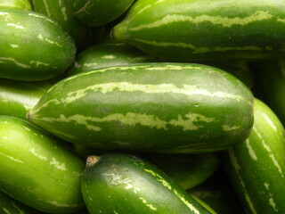 Green and yellow Ivy gourd or Coccinia grandis fruit