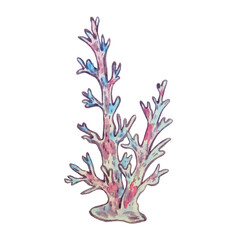 watercolor sea underwater corals