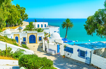 The famous resort of Sidi Bou Said, Tunisia