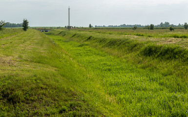 Fototapeta na wymiar Ecological problems, global warming. Drought. Dry irrigation canal without water. Disaster, crop loss without water. Environmental disaster in agriculture