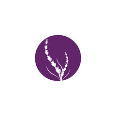 Lavender Logo Template vector symbol