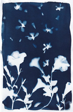 Flight of the Butterflies