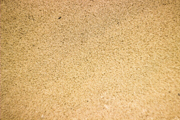 yellow background, sand background, the texture of the sand