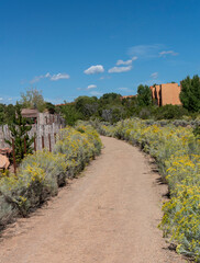 Fototapeta premium Dirt Path Lined with Yellow Rabbitbrush, Chamisa Against Blue Sky