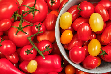 Bright yellow, red, orange tomatoes and peppers , a light blue bowl with tomatoes.