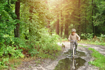 5 years old boy is having fun in the forest. The active child is riding a bicycle. Active recreation.