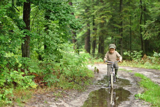 5 years old boy is having fun in the forest. The active child is riding a bicycle. Active recreation.