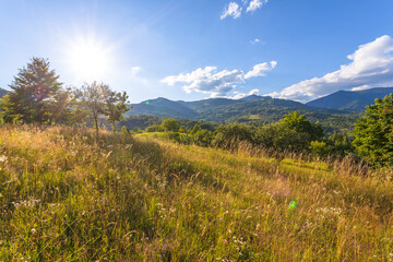 Fototapeta na wymiar Beautiful rural landscape in summer light.
