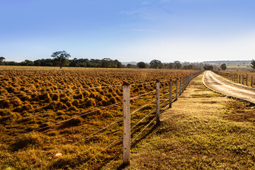 Entardecer em cena campestre. Estrada em fazenda com cerca de madeira, pasto e céu azul. © Angela