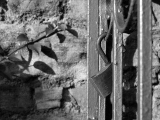 Black and white image of an old rusty open padlock hanging from an old fence. Stone wall and a plant in the background