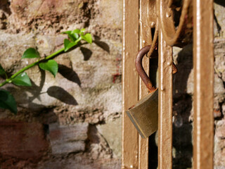 old rusty open padlock hanging from an old fence. Stone wall and a plant in the background