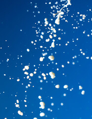 Splashes of white milk isolated on a blue background.