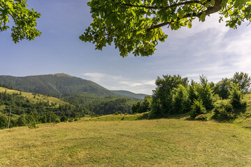 Green leaves against the blue sky and mountains