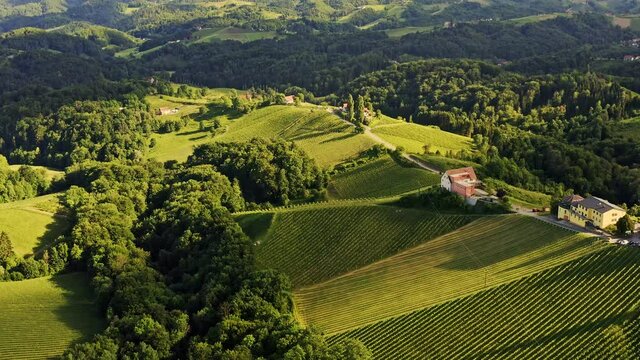 Aerial view of Austrian Vineyards in South Styria. Travel spot near Gamlitz, Austrian Tuscany. Region famous for white wine.