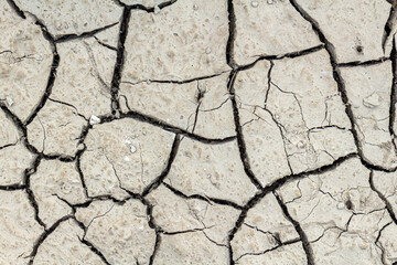 Cracked dried earth texture background, close up.