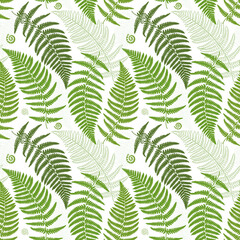 Seamless pattern with fern leaves. Exotic green plants © Olha